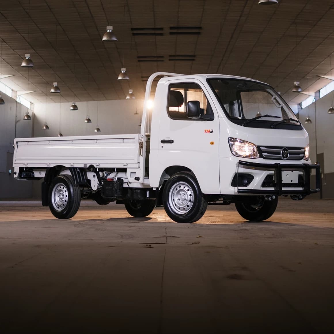 Foton Truckmate Dropside