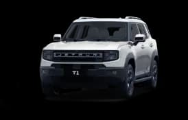 T1 