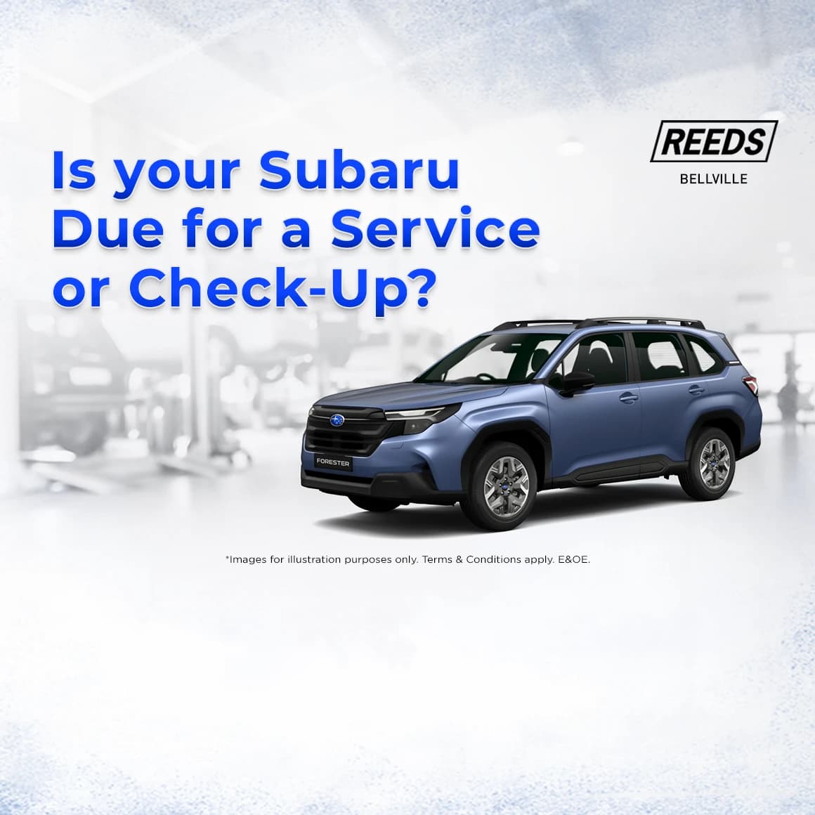 Subaru Service & Check -Up